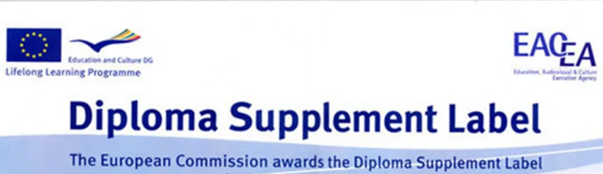 Mavi Diploma (Diploma Supplement) Nedir, Ne Değildir? Blog Ana Görseli