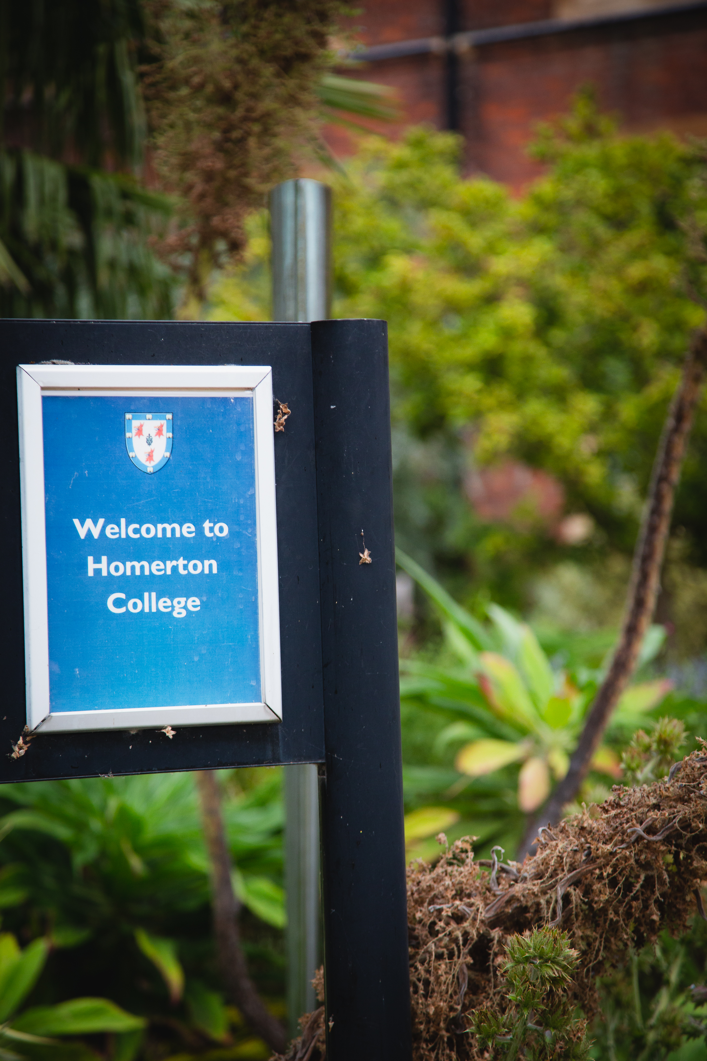 Bluebridge Education - Cambridge Homerton College Yaz Okulu Okul Fotoğrafı 5