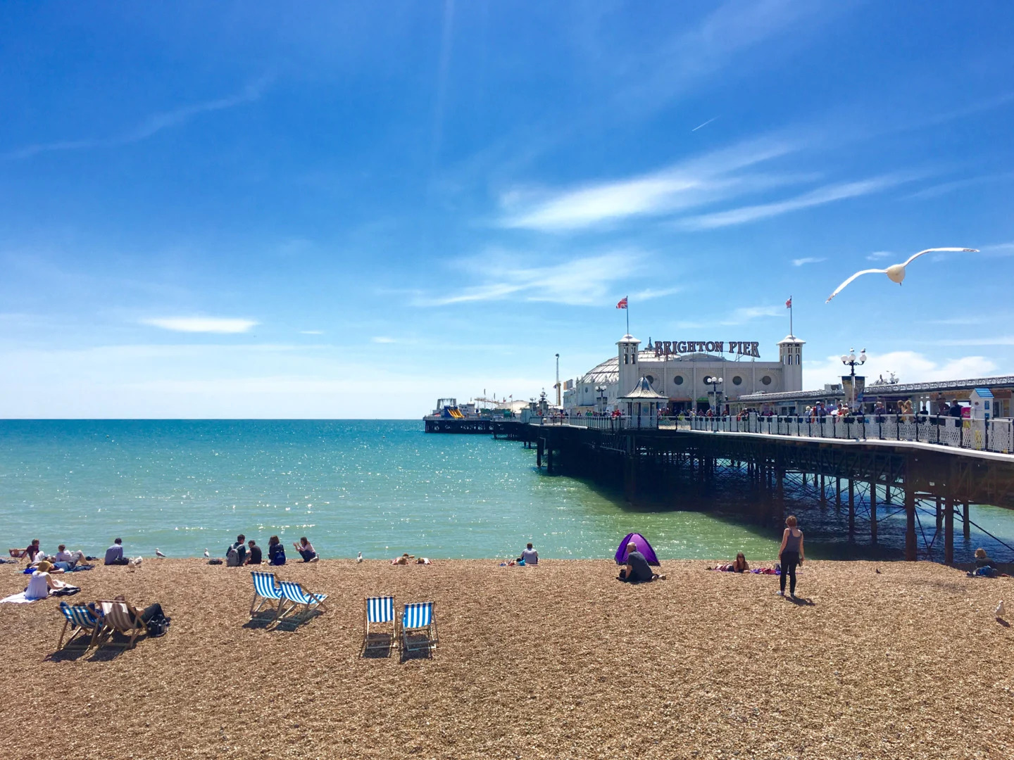 EC English - Brighton 30+ görseli