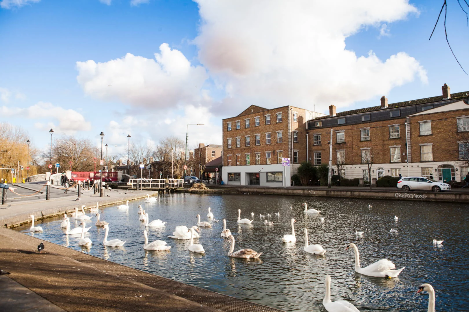 EC English - Dublin 30+ Ana Okul Fotoğrafı