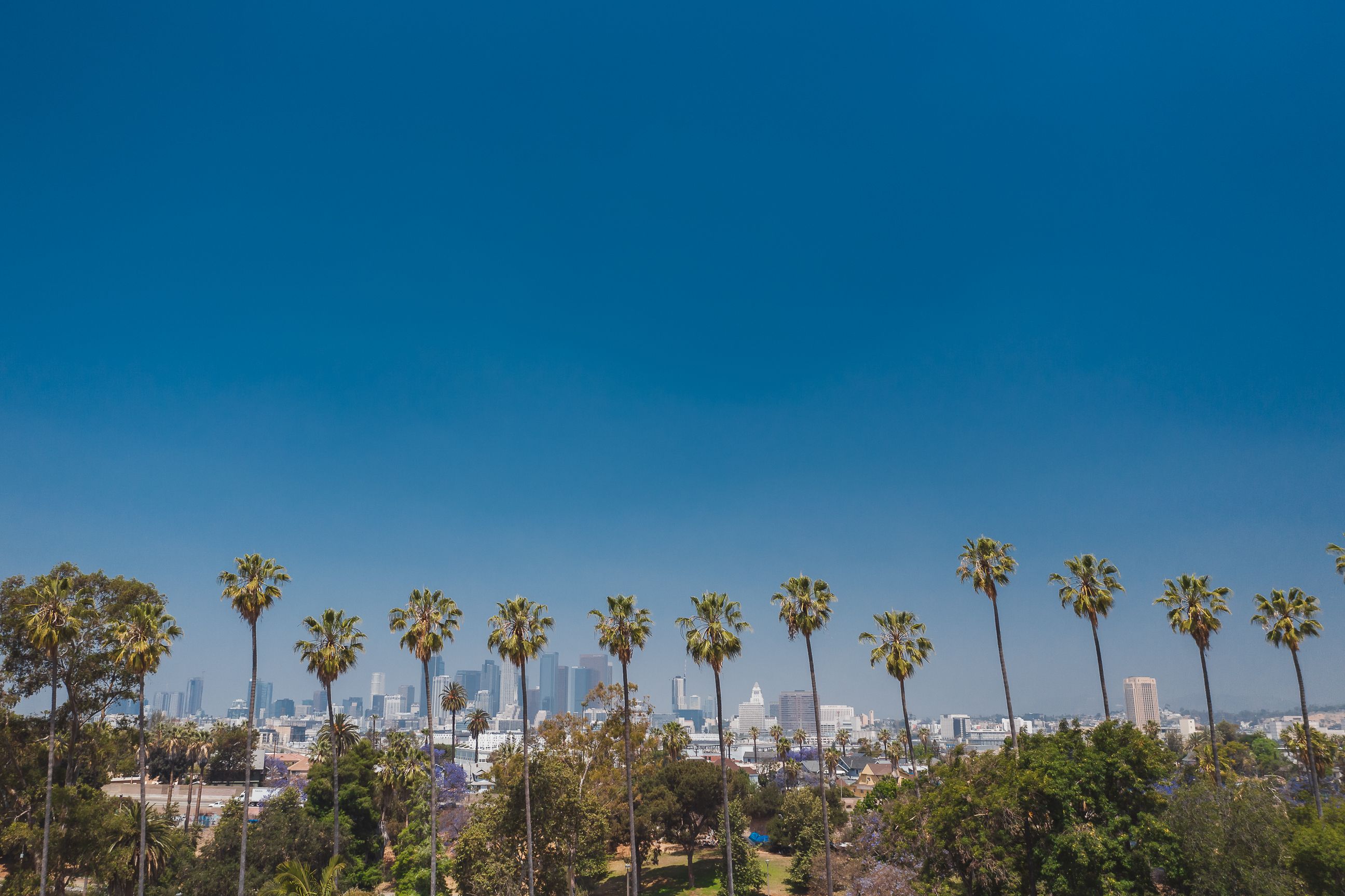 EC English - Los Angeles görseli
