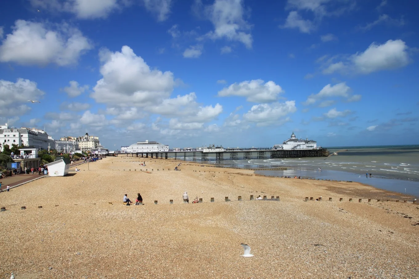 ELC Eastbourne görseli