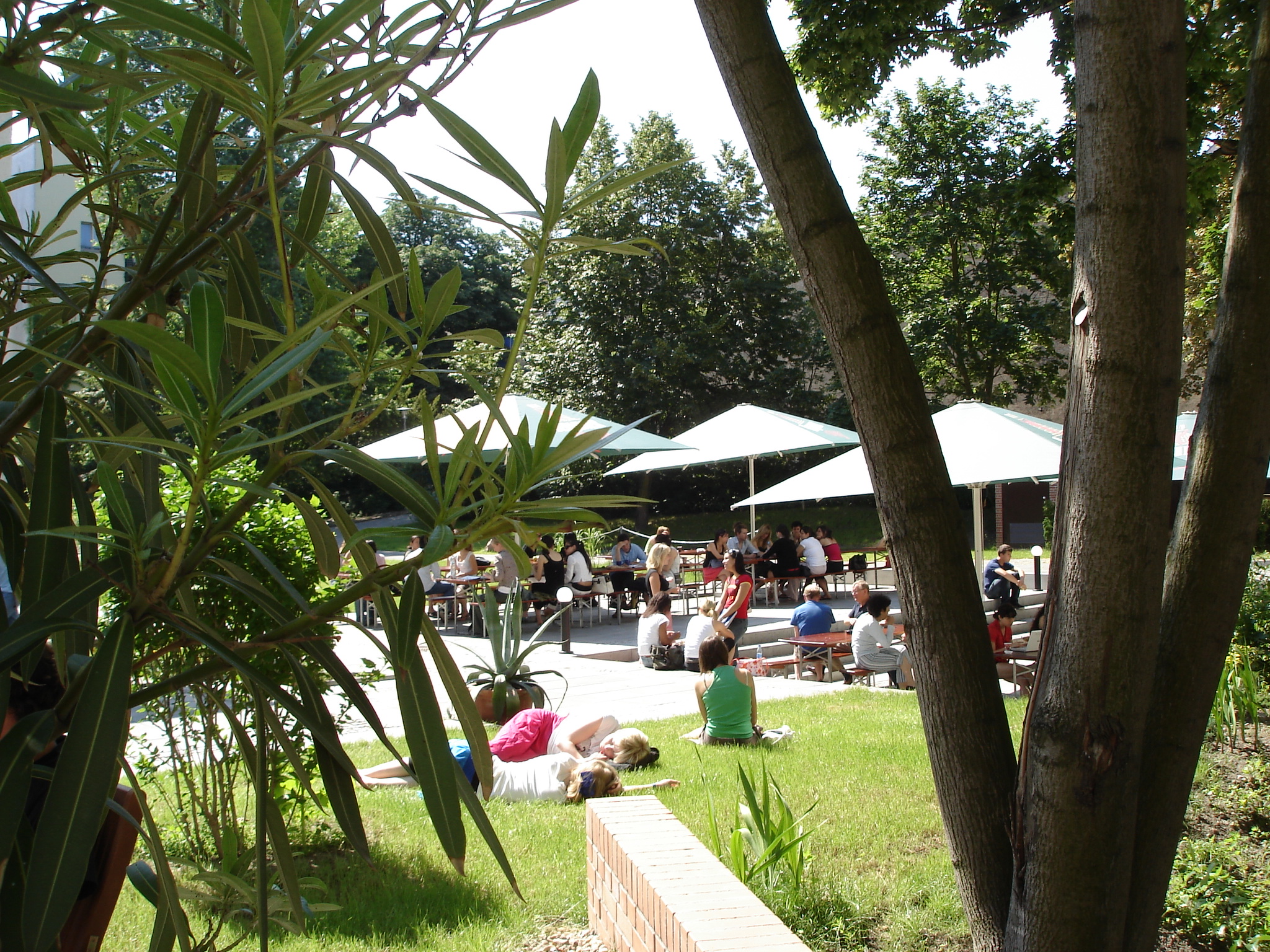 GLS - Berlin College Yaz Okulu görseli