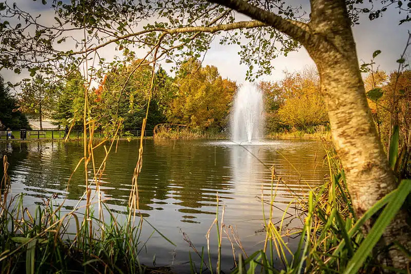 Sapphire Education - Bath Yaz Okulu görseli