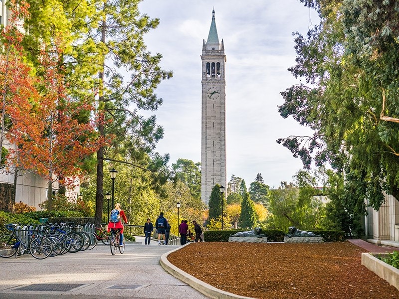 Stafford House Summer - UC Berkeley Yaz Okulu Ana Okul Fotoğrafı